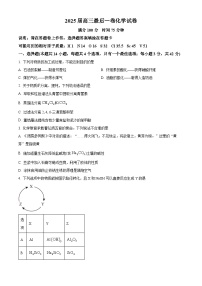 安徽省合肥市集团校2025届高三下学期“最后一卷”化学试题（Word版附解析）