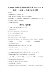陕西省西安市部分学校联考2024-2025学年高一上学期11月期中考试 化学试题（含答案）