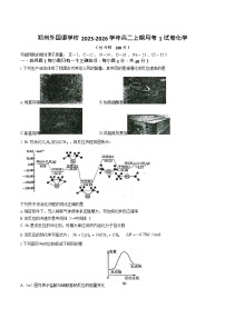 河南省郑州外国语学校2025-2026学年高二上学期10月月考化学试卷