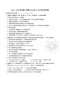 湖北省沙市中学2025-2026学年高一上学期10月月考化学试卷（Word版附答案）