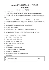 湖北省武汉市第一中学2025-2026学年高一上学期10月月考化学试卷（Word版附解析）