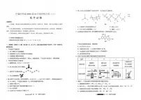 重庆市巴蜀中学2026届高三上学期10月月考（三）化学试题（含答案）