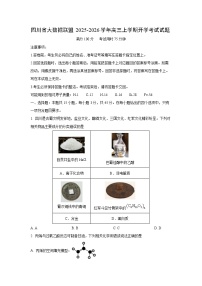 2025~2026学年四川省大数据联盟高三（上）开学考试化学试题（学生版）