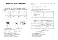 湖北省襄阳市第四中学2025-2026学年高一上学期10月月考化学试题试卷（PDF版附答案）