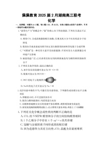 湖南省佩佩教育2025届2月高三下学期开学联考化学试题及答案