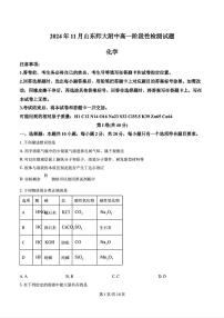 2024-2025年济南市山师附中高一化学上学期期中考试试卷及其答案