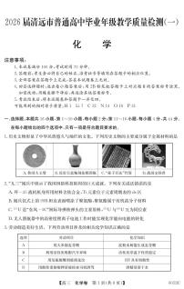 广东省清远市2025-2026学年高三上学期10月教学质量检测（一）化学试题（含答案）含答案解析