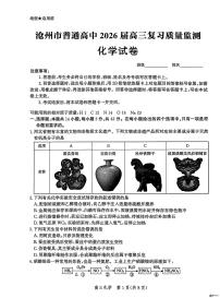 河北省沧州市普通高中2026届高三上学期复习质量检测化学试卷（无答案）