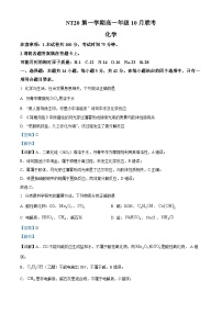 河北省NT20名校联合体2025-2026学年高一上学期10月联考化学试题（解析版）