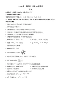 河北省NT20名校联合体2025-2026学年高一上学期10月联考化学试题（原卷版）