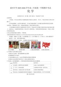 广东惠州中学2025-2026学年高二上学期10月期中化学试题（含答案）