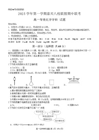 浙江省嘉兴八校联考2025-2026学年高一上学期11月期中化学试卷