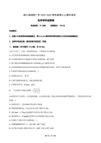 四川省绵阳第一中学2025-2026学年高三上学期中考试化学试题