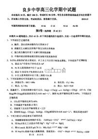 2025北京良乡中学高三（上）期中化学试卷