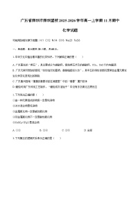 广东省深圳市深圳盟校2025-2026学年高一上学期11月期中化学试题（含答案）