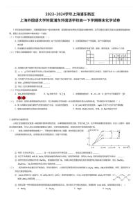 2023~2024学年上海浦东新区上海外国语大学附属浦东外国语学校高一下学期期末化学试卷（有答案解析）