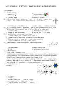 2023~2024学年上海浦东新区上海市洋泾中学高二下学期期末化学试卷（有答案解析）