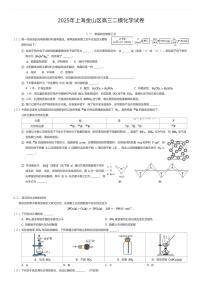 2025年上海金山区高三二模化学试卷（有答案解析）