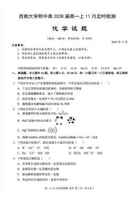 重庆西南大学附中2025-2026学年高一上学期11月检测化学试题+答案
