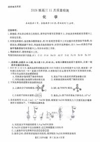 湖南省名校联盟联考2025-2026学年高三上学期11月月考 化学试题