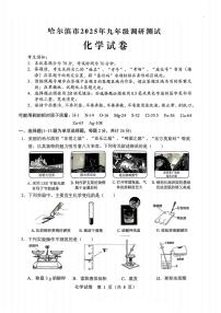 2025年黑龙江省哈尔滨市中考模拟考试化学试题（高考模拟）