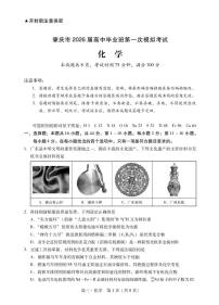 广东省肇庆市2026届高三上学期11月期第一次模拟化学试题+答案