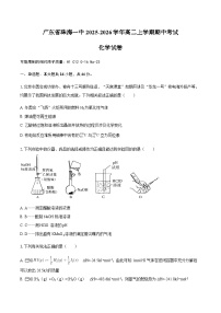 广东省珠海一中2025-2026学年高二上学期期中考试化学试卷（含答案）