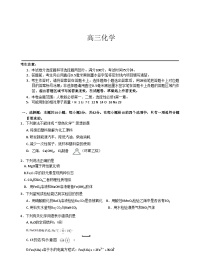 河南省九师联盟2025-2026学年高三上学期11月期中考试 化学 含答案