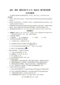 浙江省2025年11月湖丽衢三地市高三教学质量监测化学试题（附参考答案）