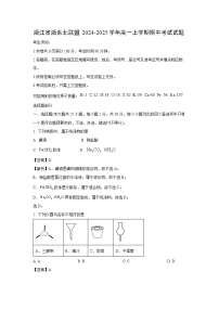 【化学】浙江省浙东北联盟2024-2025学年高一上学期期中考试试题（学生版+解析版）