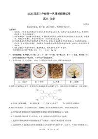 广东省深圳市2026届高三上学期第一次模拟联测化学试卷（含答案）含答案解析