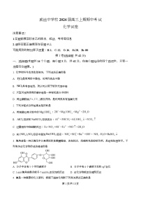 四川省内江市威远中学2026届高三上学期期中考试化学试卷（Word版附解析）