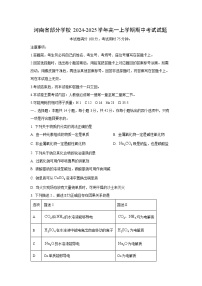 河南省部分学校2024-2025学年高一上学期期中考试化学试卷（学生版）