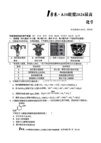 2025年A10联盟高三上学期11月化学试题无答案