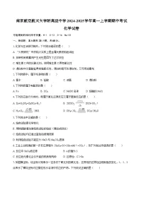 江苏省南京航空航天大学附高级中学2024-2025学年高一上学期期中考试化学试卷（含答案）