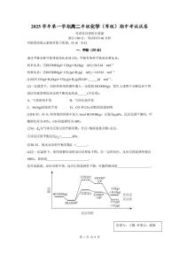 上海外国语大学附中东校2025-2026学年高二上学期期中考试化学试题