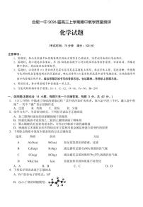 安徽省合肥一中2026届高三上学期期中教学质量检测化学试题+答案
