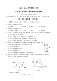 2025北京育才学校高二（上）期中化学试卷
