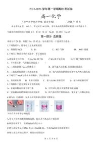 2025北京清华附中朝阳学校高一（上）期中化学试卷