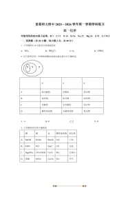 北京市通州区首都师范大学附属中学2025～2026学年高一上10月月考化学试卷(含答案)