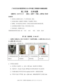 广东省广州市天河外国语学校2025-2026学年高二上学期期中考试化学试题