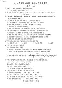 河北省NT20名校联合体2025-2026学年高一上学期11月期中考试化学试题