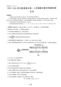 河南省信阳市罗山县2025-2026学年高一上学期11月期中考试 化学试题