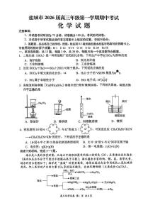 江苏省盐城市2026届高三上学期期中化学试题