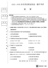 黑龙江省齐齐哈尔市普高联谊校2025-2026学年高一上学期11月期中考试化学试卷（含答案）