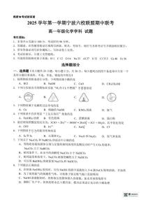 浙江省宁波六校联盟2025-2026学年高一上学期11月期中化学试题含答案