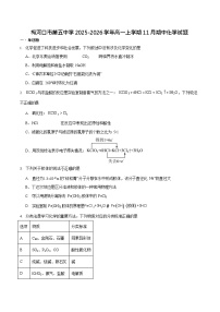 吉林省梅河口市第五中学2025-2026学年高一上学期11月期中考试化学试卷