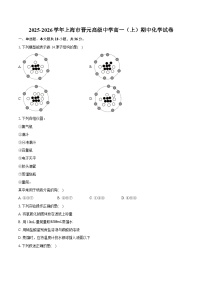 2025-2026学年上海市晋元高级中学高一（上）期中化学试卷