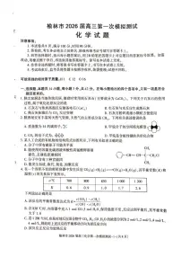 陕西省榆林市2026届高三上学期11月第一次模拟测试化学试卷(含解析)