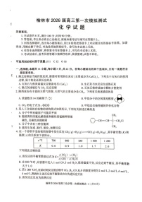 陕西省榆林市2025-2026学年高三上学期11月高考一模化学试卷